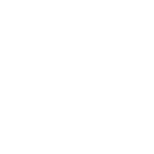 Clutch Silverscoop Top UX company Award 2023 India